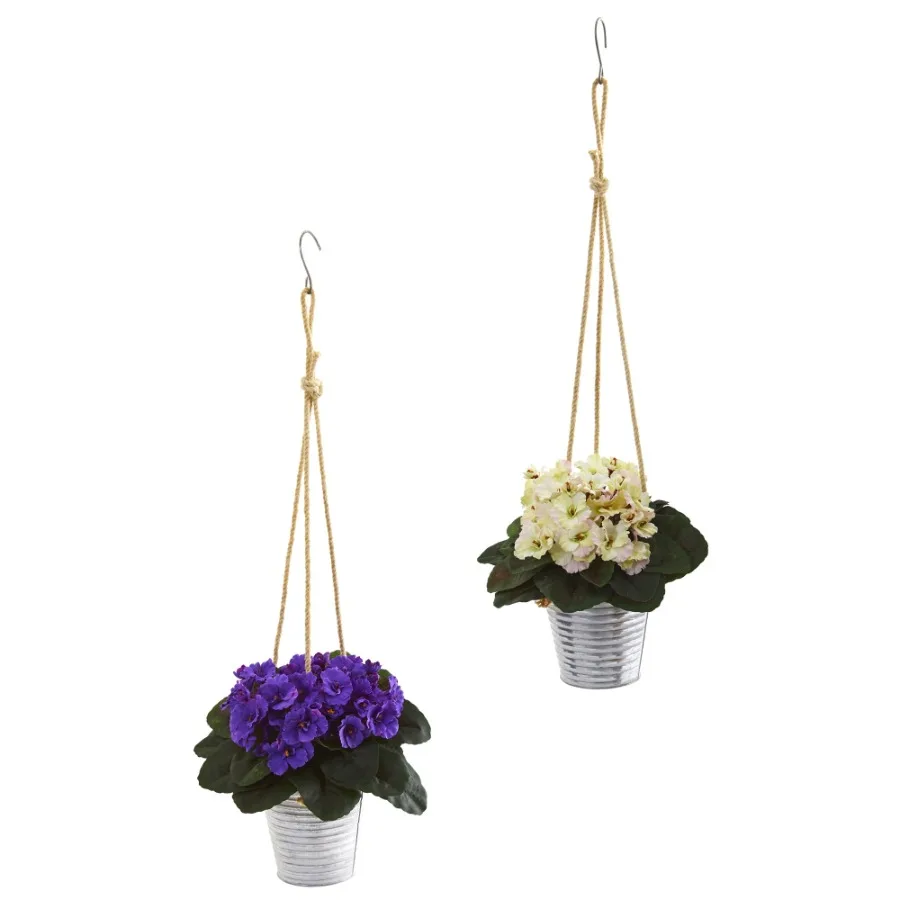 21in. African Violet Artificial Plant in Hanging Bucket Set of 2
21in. African Violet Artificial Plant in Hanging Bucket Set of 2