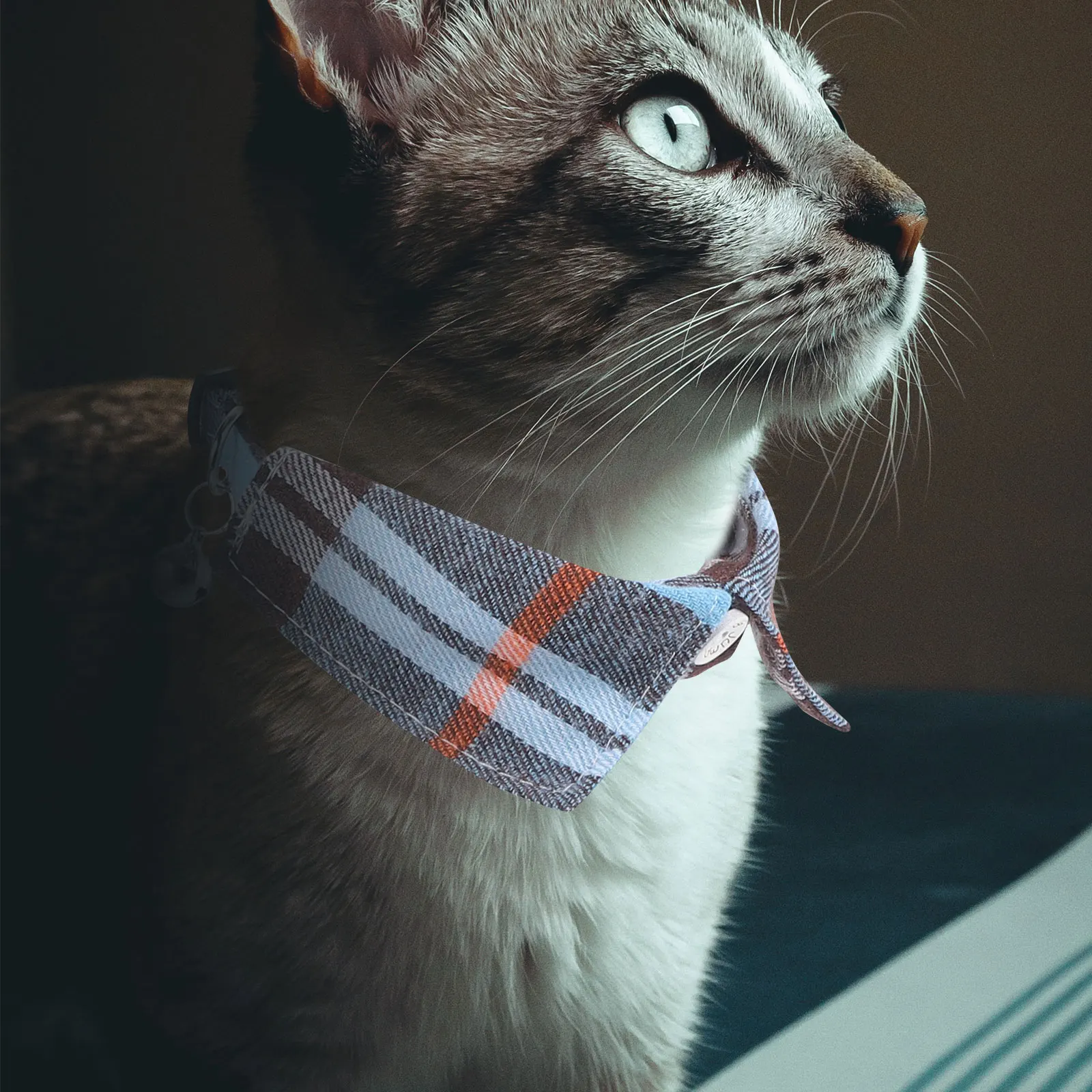 Adjustable Plaid Cat Collar Cloth Neckwear For Kitten Bell Decor Small Comfortable Skin-Friendly Collars Cute Pet Necklace 
Adjustable Plaid Cat Collar Cloth Neckwear For Kitten Bell Decor Small Comfortable Skin-Friendly Collars Cute Pet Necklace