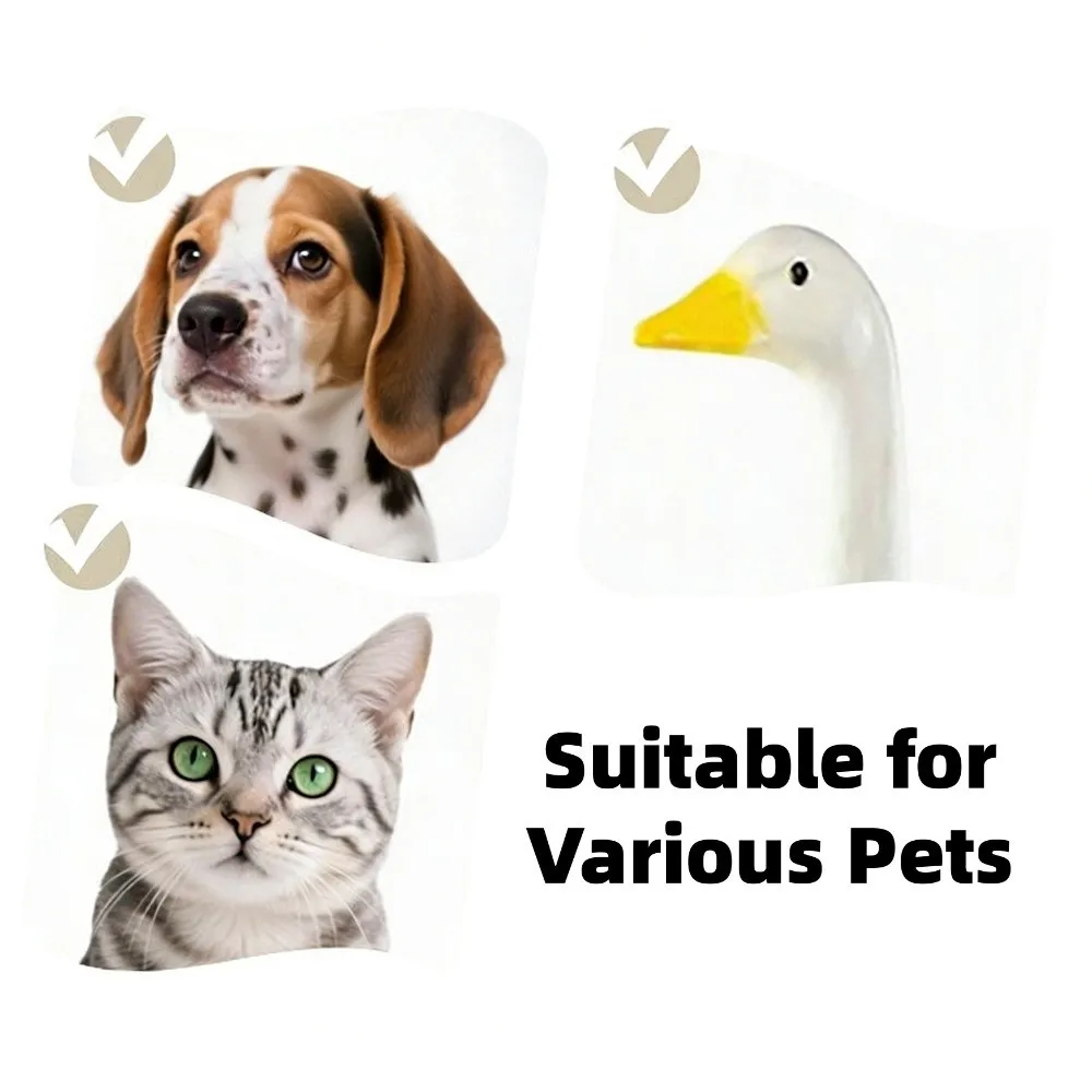 Adjustable Fit Pet Bob Wig Comfortable To Wear with Bangs Dogs Cats Cosplay Wigs Reusable Cosplay Kitty Wavy Hair
Adjustable Fit Pet Bob Wig Comfortable To Wear with Bangs Dogs Cats Cosplay Wigs Reusable Cosplay Kitty Wavy Hair