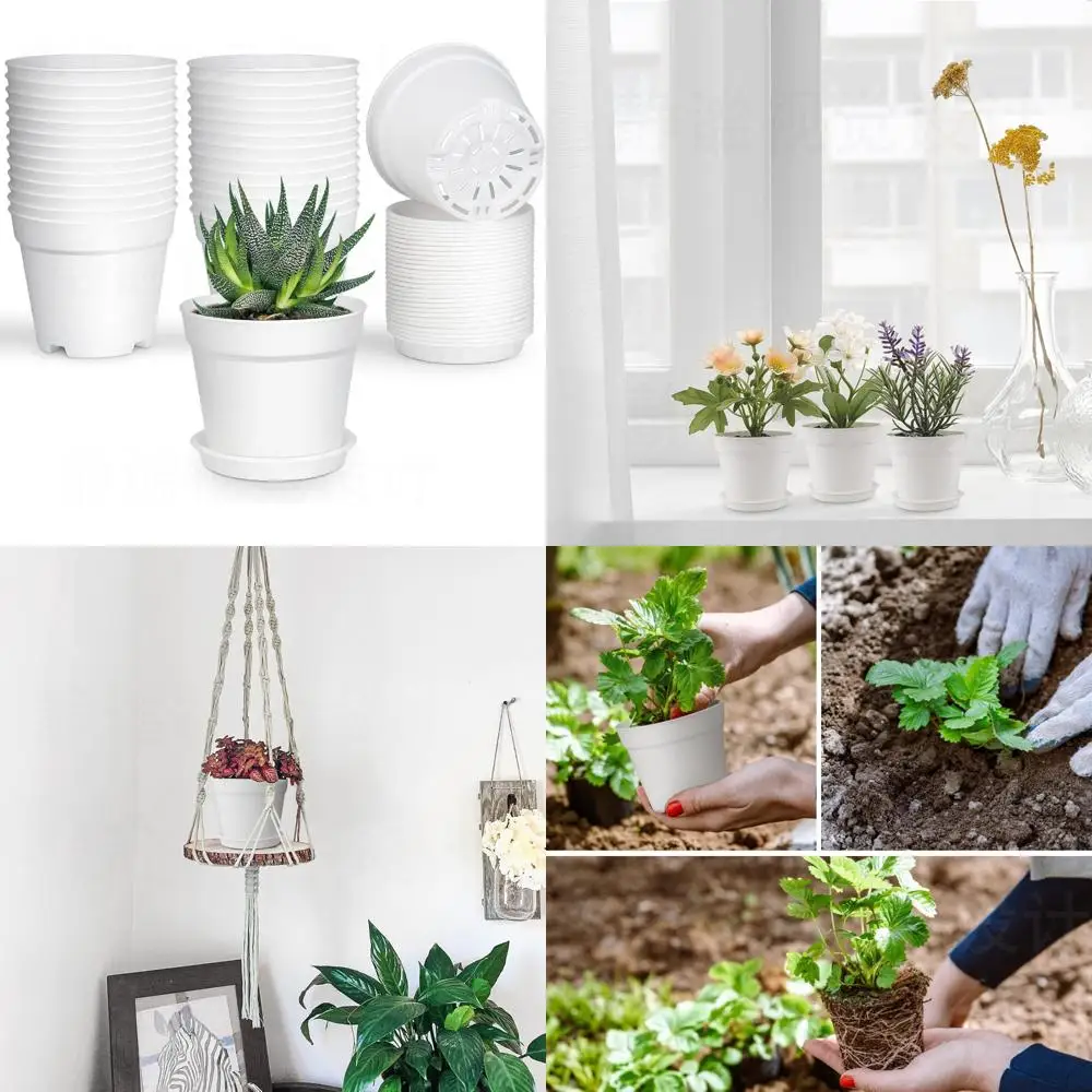 28 Pack 4 inch Small Plant Pots, Plastic Planters with Drainage Holes and Saucers for Flowers Plants, Succulents, Seed Starting
28 Pack 4 inch Small Plant Pots, Plastic Planters with Drainage Holes and Saucers for Flowers Plants, Succulents, Seed Starting