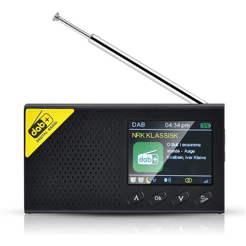 Portable DAB/DAB+ FM Radio With Bluetooth Digital Radio Portable Color Screen Digital Clock Radio For Outdoor Indoor
Portable DAB/DAB+ FM Radio With Bluetooth Digital Radio Portable Color Screen Digital Clock Radio For Outdoor Indoor