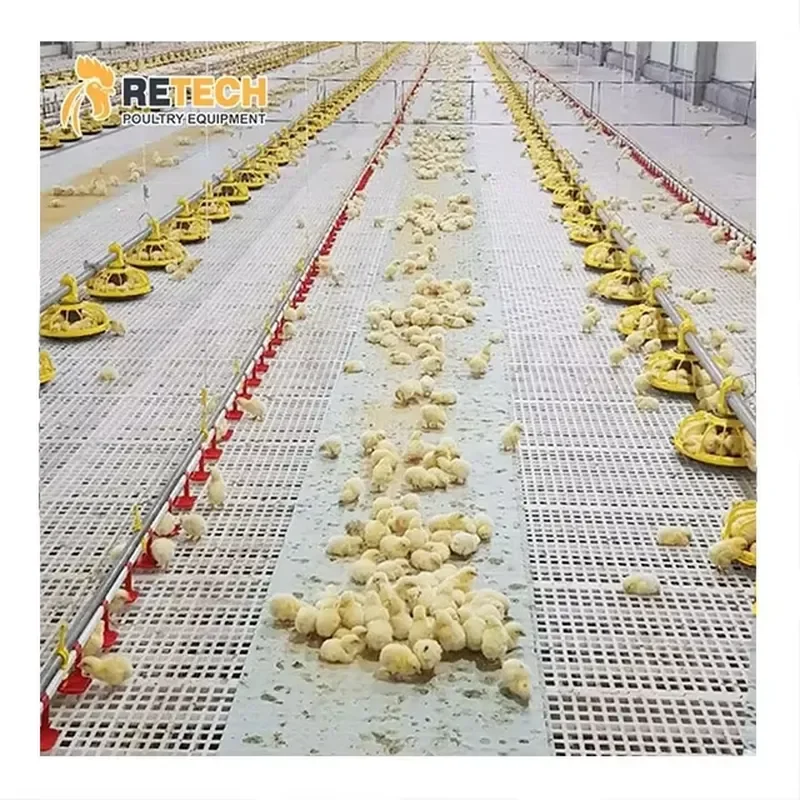 Automatic Broiler Feeding and Drinking Line System for RETECH Poultry Farming Equipment
Automatic Broiler Feeding and Drinking Line System for RETECH Poultry Farming Equipment