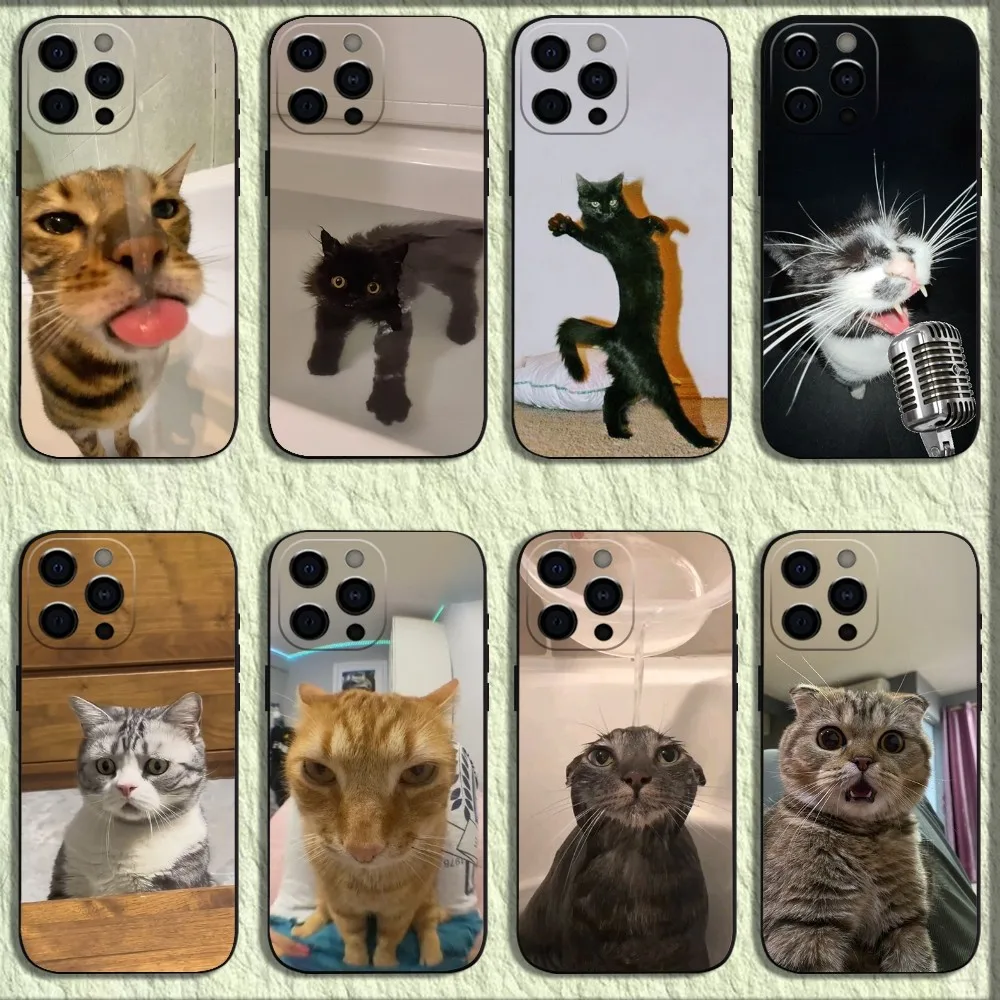 Pet Cat Funny memes Phone Case For iPhone 16,15,14,13,12,11,Pro,X,XS,Max,XR,Plus,Mini Soft Black Cover
Pet Cat Funny memes Phone Case For iPhone 16,15,14,13,12,11,Pro,X,XS,Max,XR,Plus,Mini Soft Black Cover
