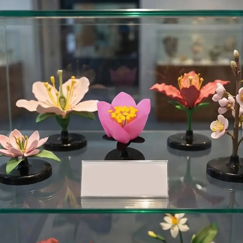 Enlarged Plastic Peach Flower Model Flower Structure Anatomy Model Biology Teaching Aid For Classroom And School Lab H8WD
Enlarged Plastic Peach Flower Model Flower Structure Anatomy Model Biology Teaching Aid For Classroom And School Lab H8WD