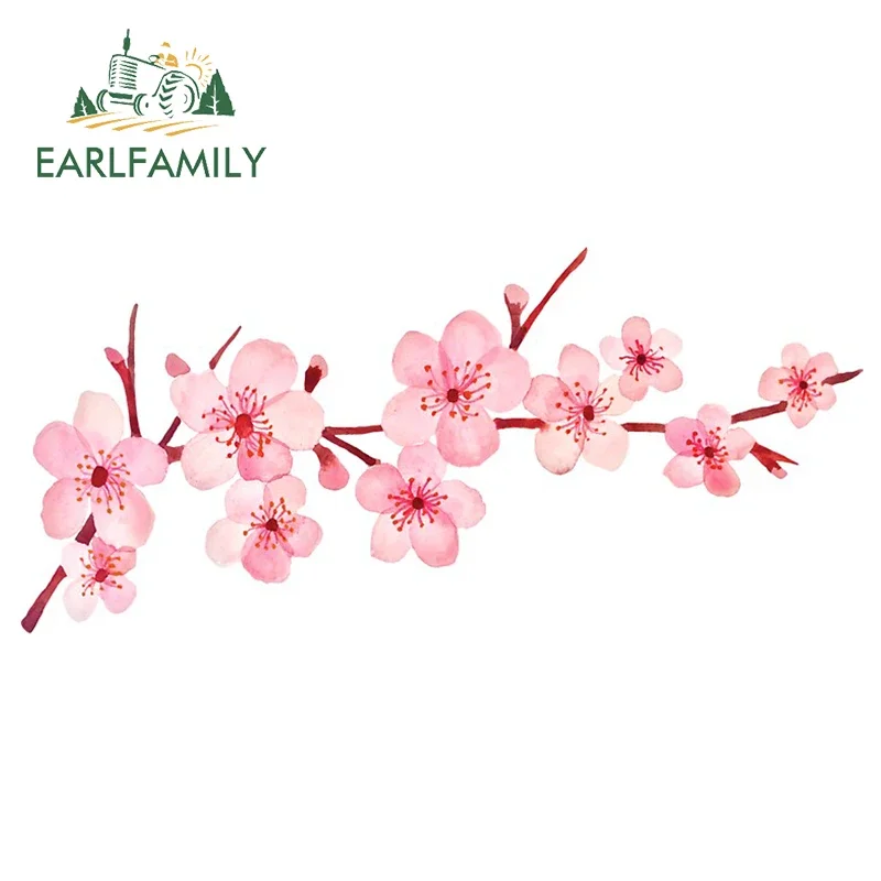 Наклейки для автомобиля EARLFAMILY, 13 см х 6,4 см, с рисунком цветущей вишни, мотоциклетный шлем, граффити, креативные наклейки на окно с защитой от царапин
Наклейки для автомобиля EARLFAMILY, 13 см х 6,4 см, с рисунком цветущей вишни, мотоциклетный шлем, граффити, креативные наклейки на окно с защитой от царапин
