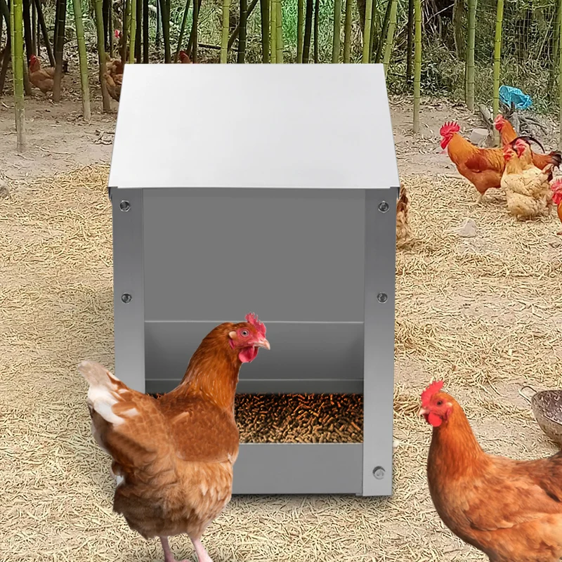 Stainless Steel Chicken Feeder Large Capacity Automatic Poultry Food Trough Duck Goose Pigeon Feeding Bowl Farm Farming Tools
Stainless Steel Chicken Feeder Large Capacity Automatic Poultry Food Trough Duck Goose Pigeon Feeding Bowl Farm Farming Tools