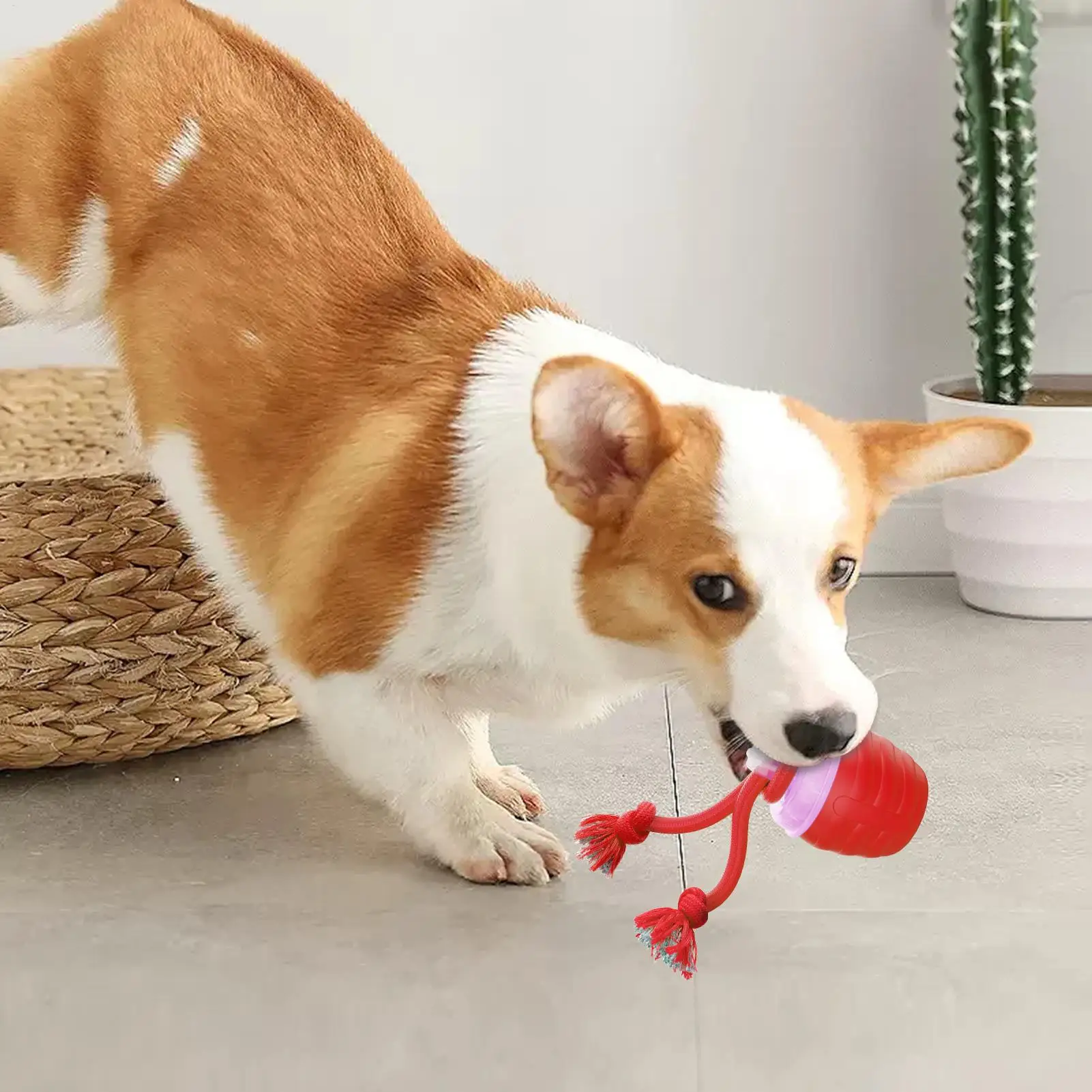 Интерактивные игры с кошачьим мячом, электрические движущиеся мячи, игрушки для предотвращения скуки, дома, гостиной, путешествий, послеоперационной деятельности
Интерактивные игры с кошачьим мячом, электрические движущиеся мячи, игрушки для предотвращения скуки, дома, гостиной, путешествий, послеоперационной деятельности