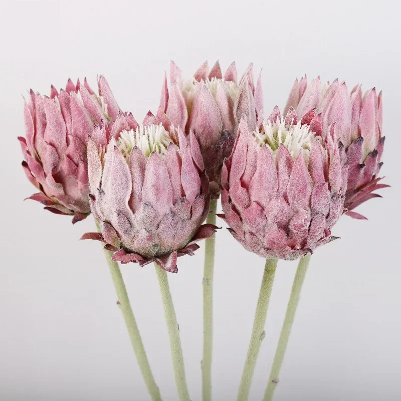 Artificial High-End Single Nordic Flocking Artichoke Flower Home Decoration Wedding Photography Props Garden Decoration
Artificial High-End Single Nordic Flocking Artichoke Flower Home Decoration Wedding Photography Props Garden Decoration