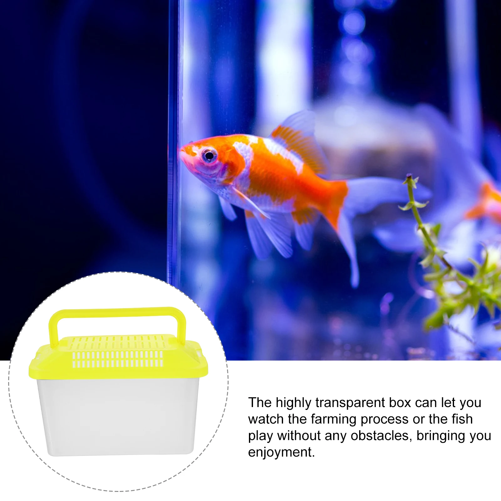 Handheld Aquarium Portable Fish Tank Smooth Surface Turtle Holder for Easy Cleaning Reptile Feeding Box Plastic Breeding Tank
Handheld Aquarium Portable Fish Tank Smooth Surface Turtle Holder for Easy Cleaning Reptile Feeding Box Plastic Breeding Tank