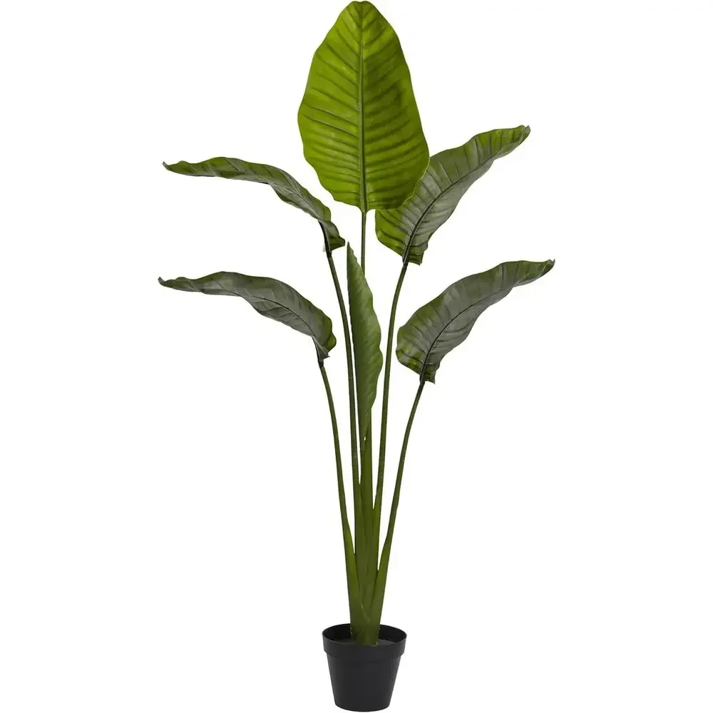 Устойчивая к УФ-излучению искусственная пальма Travelers Palm Tree высотой 60 дюймов для использования в помещении и на улице
Устойчивая к УФ-излучению искусственная пальма Travelers Palm Tree высотой 60 дюймов для использования в помещении и на улице