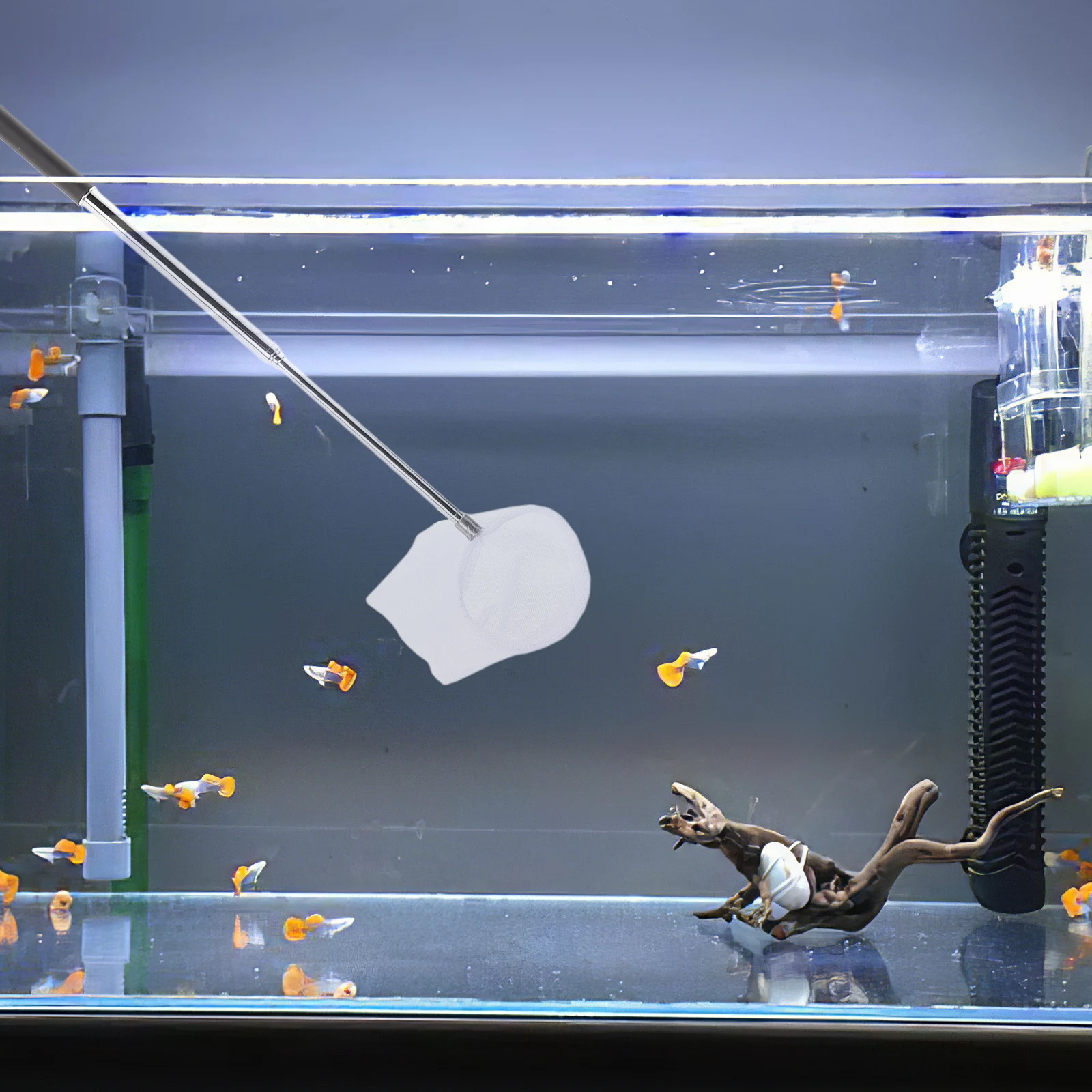 Retractable Shrimp Fish Net Aquarium Telescopic H Soft Nylon Mesh Large Small Pond Kids Fishing Tank Cleaning Tools
Retractable Shrimp Fish Net Aquarium Telescopic H Soft Nylon Mesh Large Small Pond Kids Fishing Tank Cleaning Tools