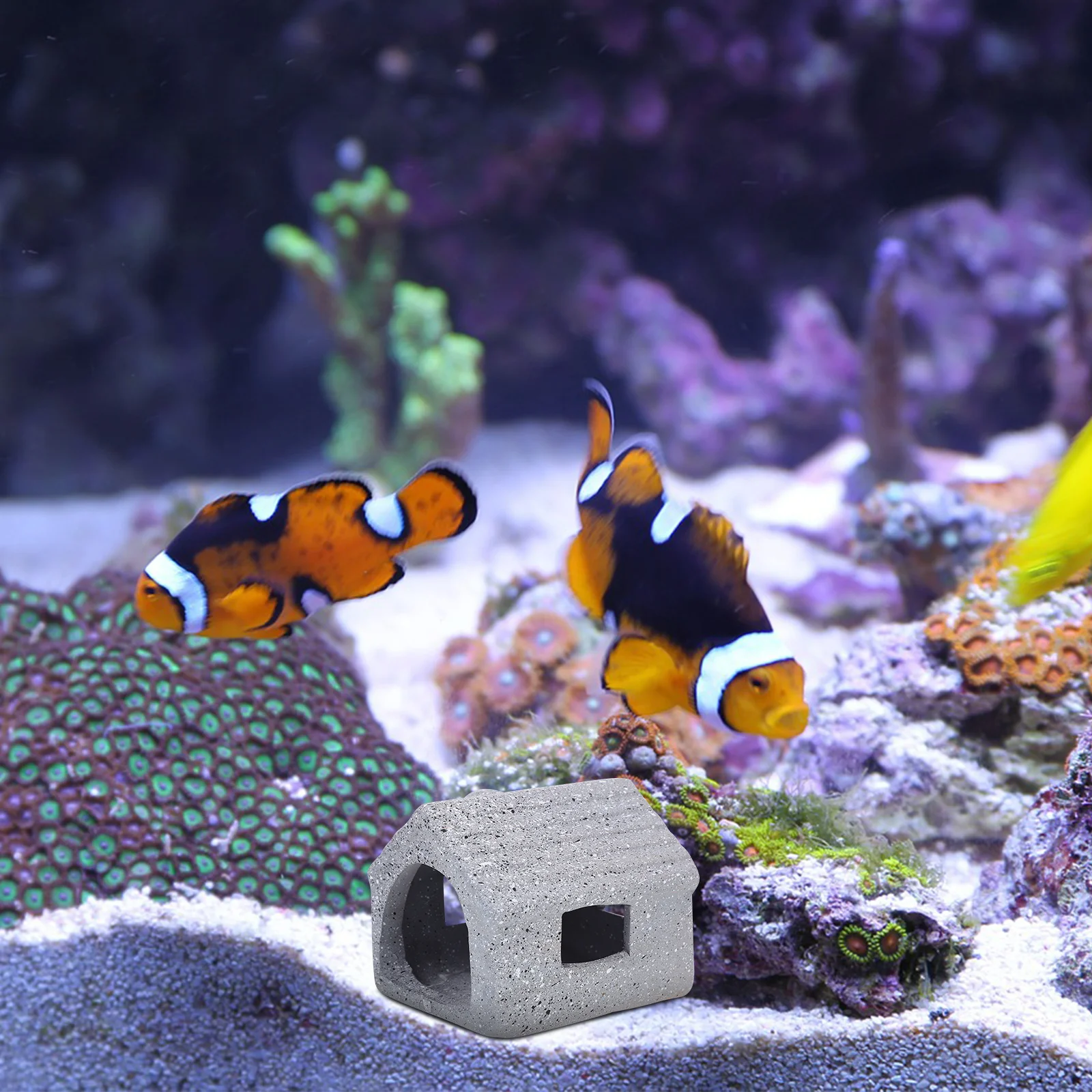 Durable Ceramic Fish Tank Cave Grey Aquarium Decoration Shrimp Shelter Fun Hideaway House Aquarium Cave Fish Tank Decor
Durable Ceramic Fish Tank Cave Grey Aquarium Decoration Shrimp Shelter Fun Hideaway House Aquarium Cave Fish Tank Decor