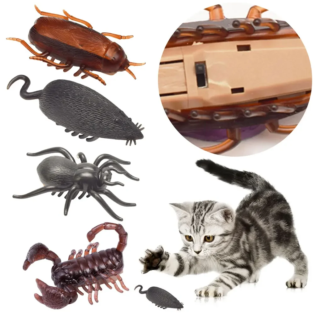 Simulation Insect Toy Battery Operated Vibrating Cat Toy Creative Electric Insect Toy Automatic Cat Insect Toy Pet Supplies Cats
Simulation Insect Toy Battery Operated Vibrating Cat Toy Creative Electric Insect Toy Automatic Cat Insect Toy Pet Supplies Cats