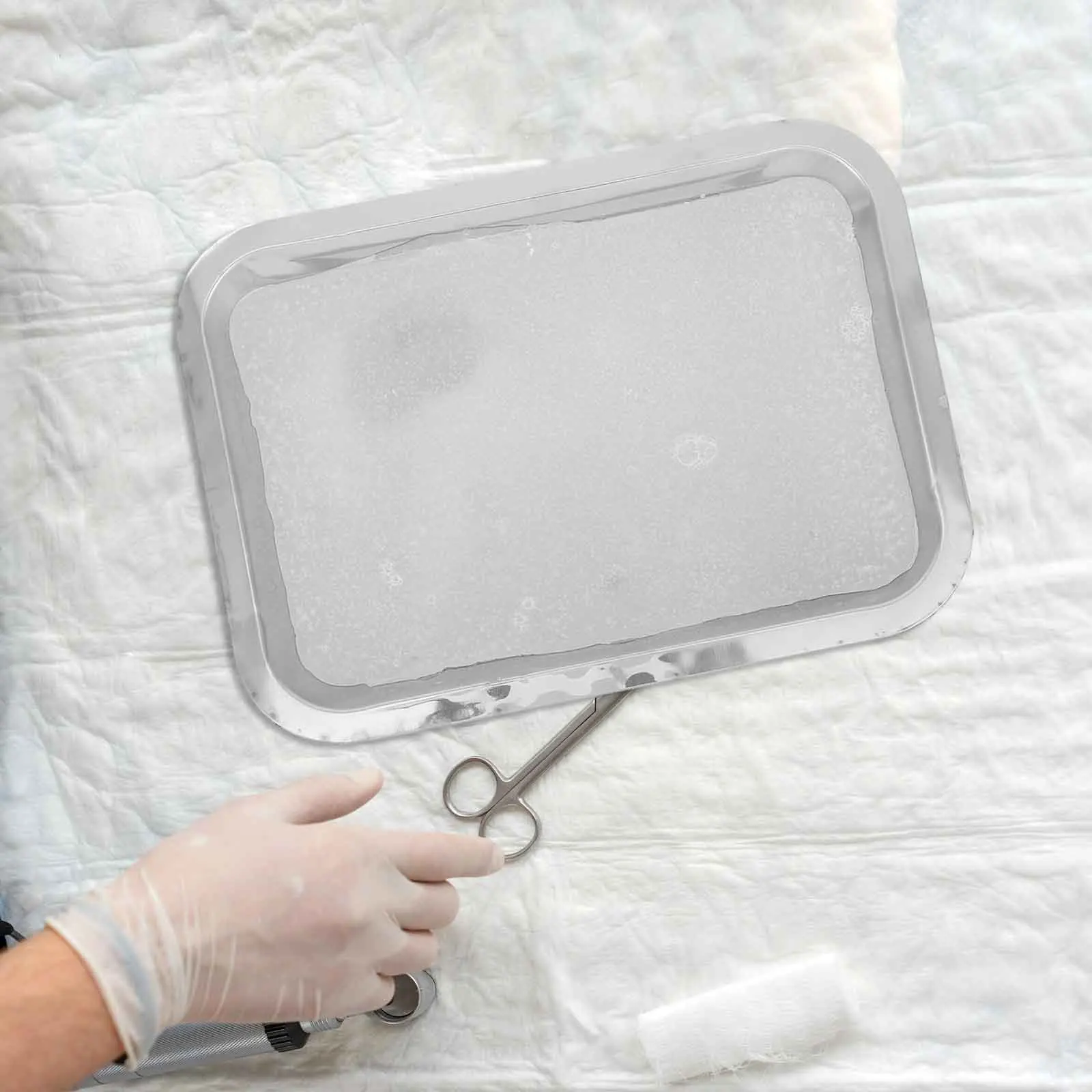 Stainless Steel Dissection Tray Wax Dissection Plate Lab Storage Trays Metal Organizer Tray Biology Experiments Medical Science
Stainless Steel Dissection Tray Wax Dissection Plate Lab Storage Trays Metal Organizer Tray Biology Experiments Medical Science