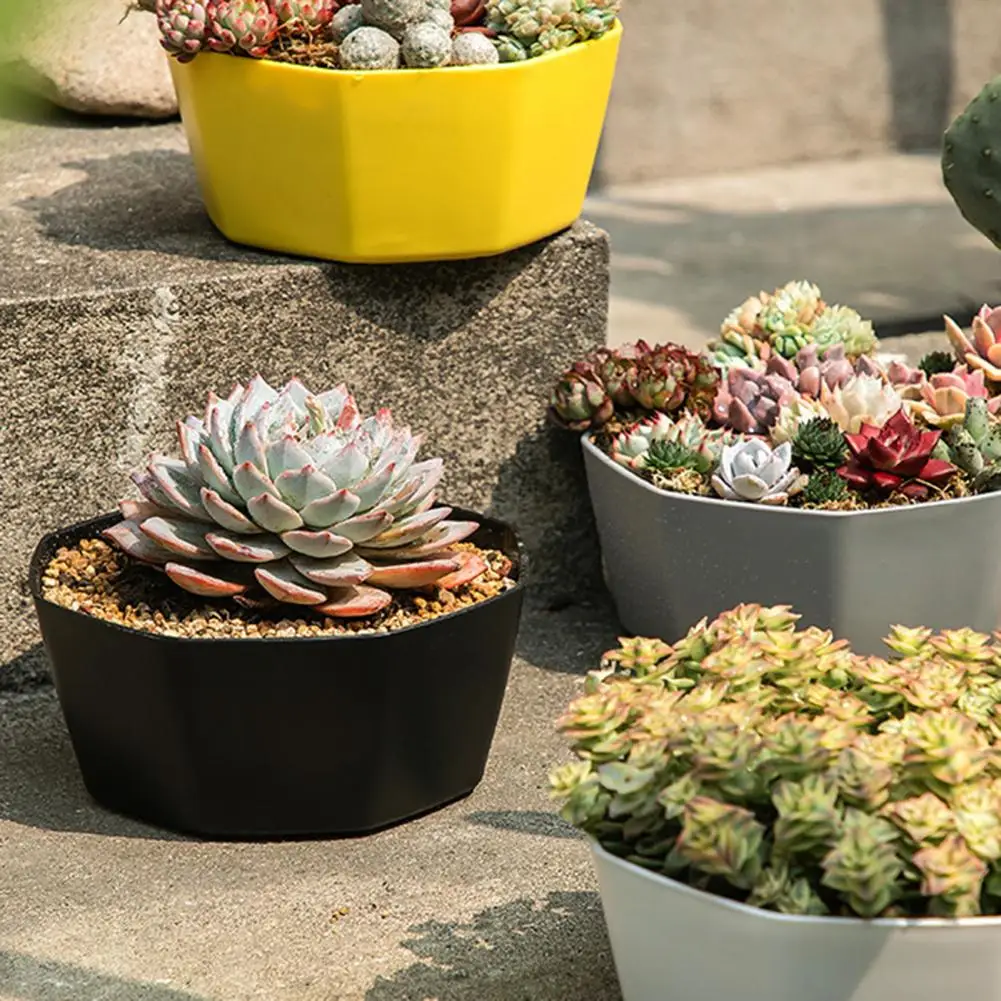 1 Set Flower Pot Solid Construction Large Capacity Resin Indoor Succulents Large Diameter Flower Pot for Home
1 Set Flower Pot Solid Construction Large Capacity Resin Indoor Succulents Large Diameter Flower Pot for Home