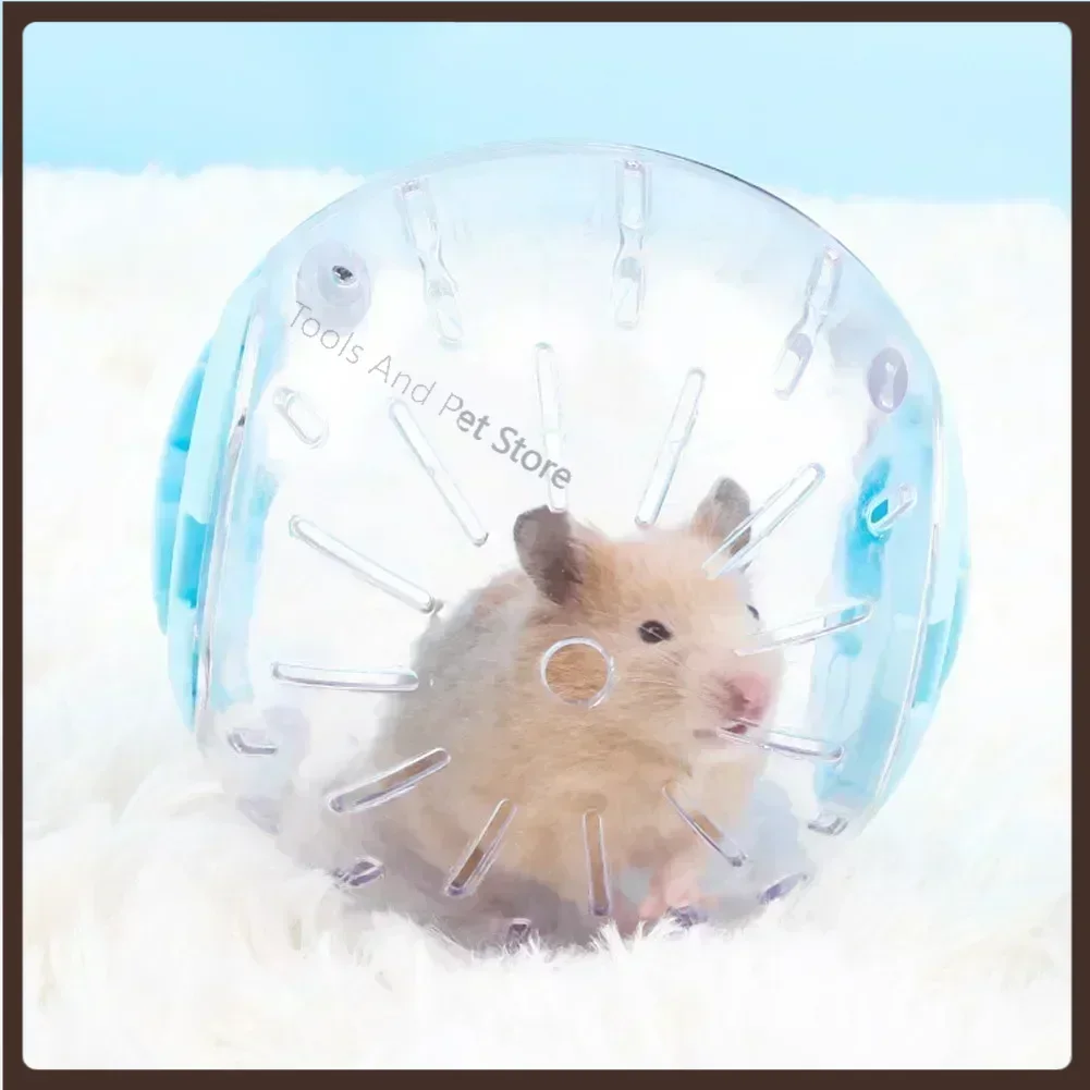 Plastic Outdoor Sport Ball Grounder Rat Small Pet Mice Jogging Ball Toy Hamster Gerbil Exercise Ball Play Toy Small Pet Supplies
Plastic Outdoor Sport Ball Grounder Rat Small Pet Mice Jogging Ball Toy Hamster Gerbil Exercise Ball Play Toy Small Pet Supplies
