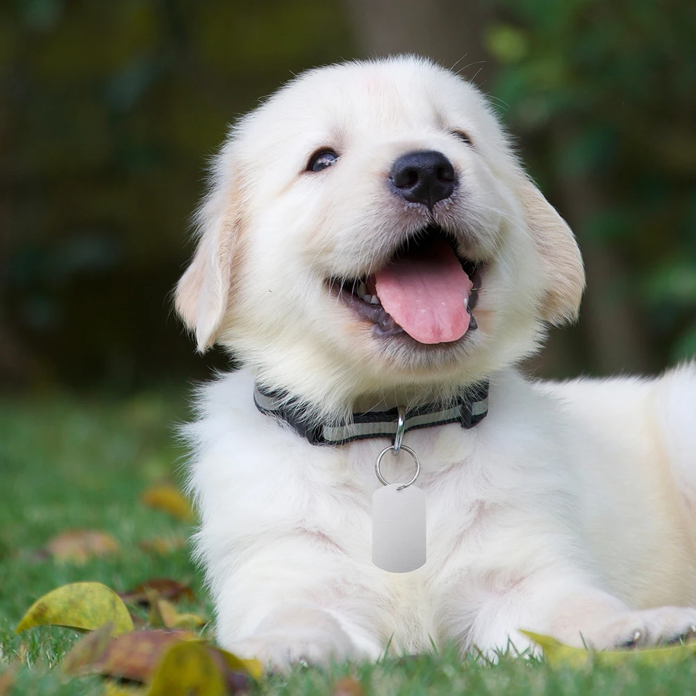 25 Pcs Aluminum Label Dog Tag for Collar Name Tags Dogs Bulk Cattle Engravable Ear
25 Pcs Aluminum Label Dog Tag for Collar Name Tags Dogs Bulk Cattle Engravable Ear