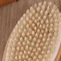 1PCS Wood + Bristle Full Body Natural Bristle Dry Skin Exfoliation Brush Massager Cleaner Scrubber
1PCS Wood + Bristle Full Body Natural Bristle Dry Skin Exfoliation Brush Massager Cleaner Scrubber