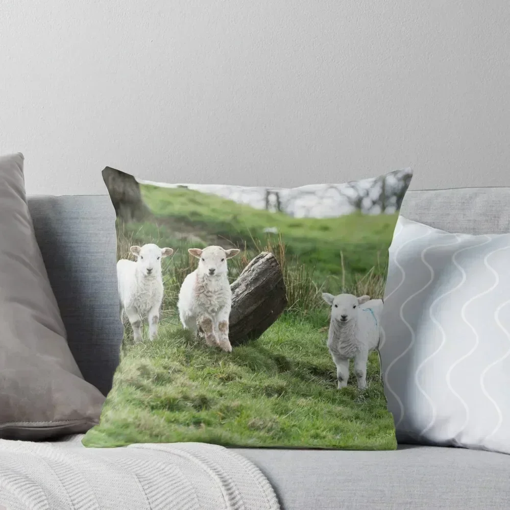 Three Little Lambs Throw Pillow Sofa Covers For Living Room Custom Cushion Christmas Covers Cusions Cover pillow
Three Little Lambs Throw Pillow Sofa Covers For Living Room Custom Cushion Christmas Covers Cusions Cover pillow
