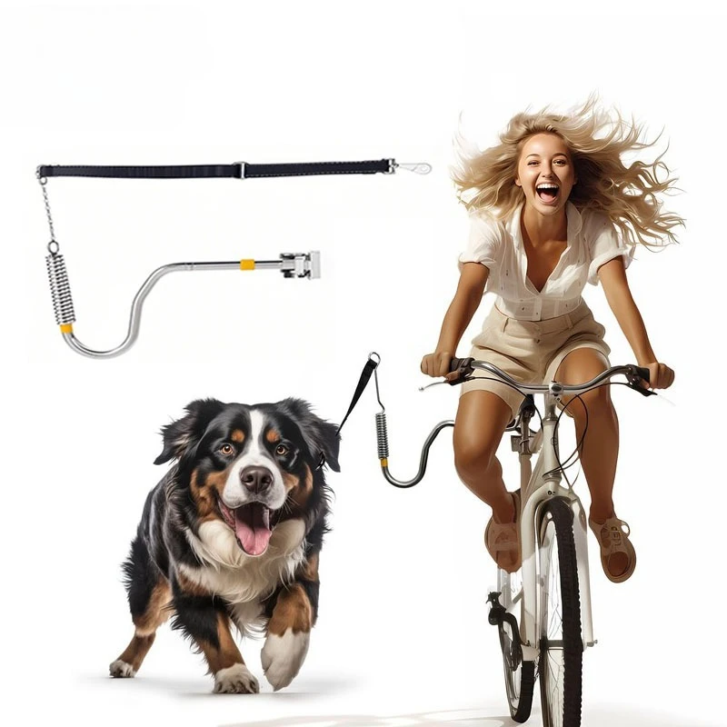 Bicycle Dog Walking Stick Pet Tractor Outdoor Bicycle Dogs Walker Retractable Elastic Buffer Dog Walker
Bicycle Dog Walking Stick Pet Tractor Outdoor Bicycle Dogs Walker Retractable Elastic Buffer Dog Walker