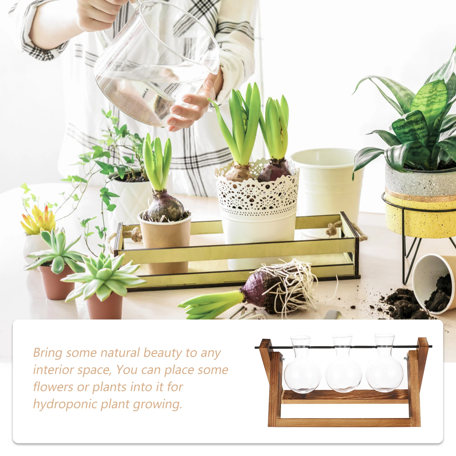 Green Plant Container Bulb Terrarium Wooden St Vase Air Planter Swivel Holder Retro Tabletop Hydroponic Growing Durable
Green Plant Container Bulb Terrarium Wooden St Vase Air Planter Swivel Holder Retro Tabletop Hydroponic Growing Durable