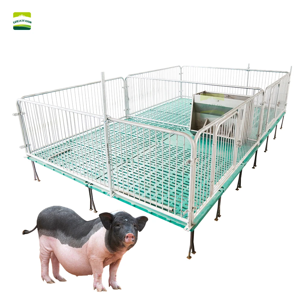 Cost - Effective Piglet Nursery Bed With High - Strength Structure And Long Service Life
Cost - Effective Piglet Nursery Bed With High - Strength Structure And Long Service Life