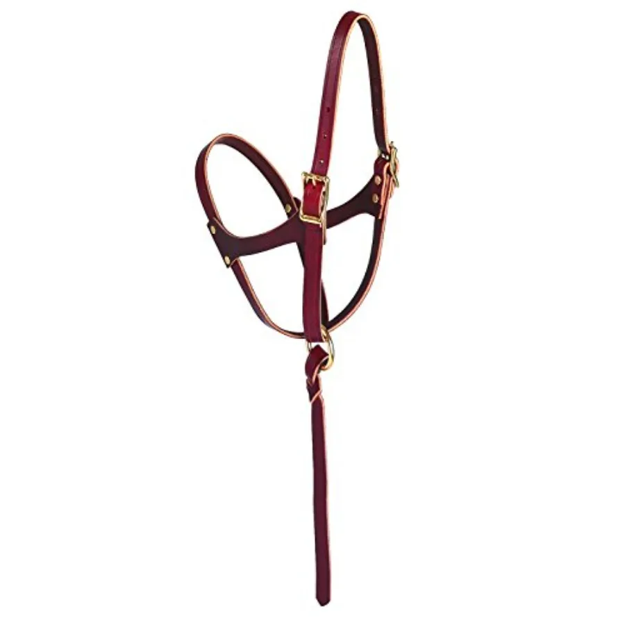 Figure-8 Foal Halter Russet, 5/8"
Figure-8 Foal Halter Russet, 5/8"