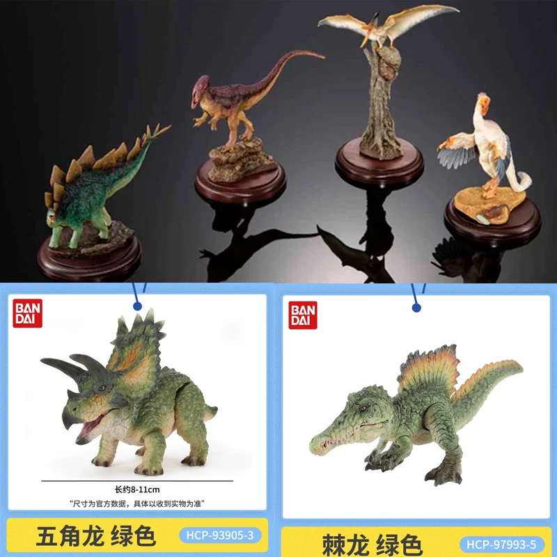In Stock BANDAI Gashapon The Diversity of Life on Allosaurus Stegosaurus Ceratosaurus Model GACHA TOYS Big Biological Map Of
In Stock BANDAI Gashapon The Diversity of Life on Allosaurus Stegosaurus Ceratosaurus Model GACHA TOYS Big Biological Map Of