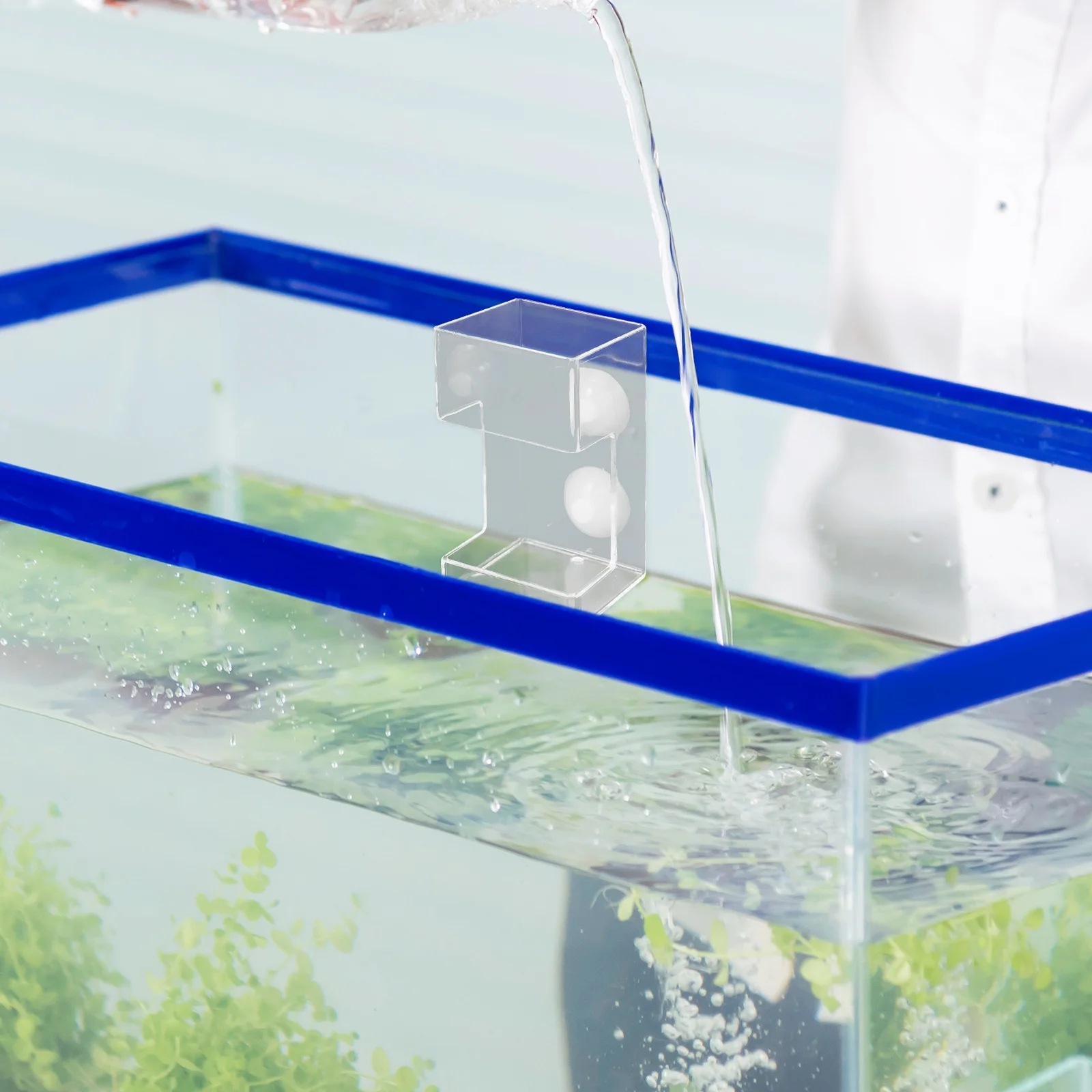 Fish Tank Feeder Aquarium Tube Clear Acrylic Floating Suction Cup Accessory Food Shrimp Feeding Dish
Fish Tank Feeder Aquarium Tube Clear Acrylic Floating Suction Cup Accessory Food Shrimp Feeding Dish