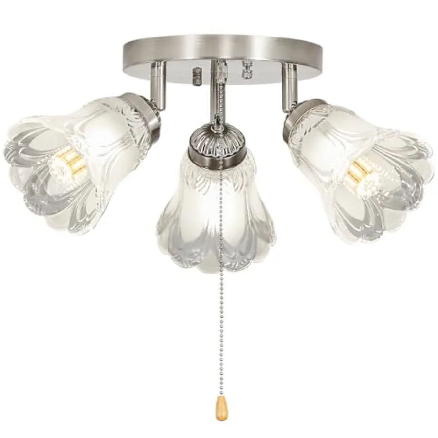 3-Light Flush Mount Ceiling Light with Pull Chain Clear and Frosted Glass Low Profile Lighting Fixtures for Kitchen Living Room
3-Light Flush Mount Ceiling Light with Pull Chain Clear and Frosted Glass Low Profile Lighting Fixtures for Kitchen Living Room