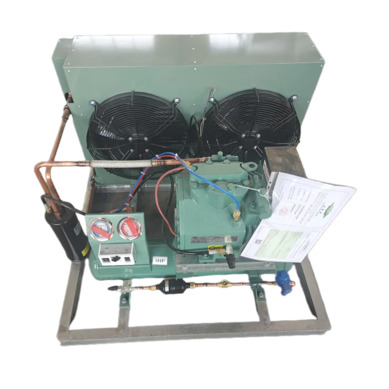 4HP for Bitzer Compressor Piston Low Temperature Compressor Refrigeration System for Home Use Restaurants Supermarkets
4HP for Bitzer Compressor Piston Low Temperature Compressor Refrigeration System for Home Use Restaurants Supermarkets