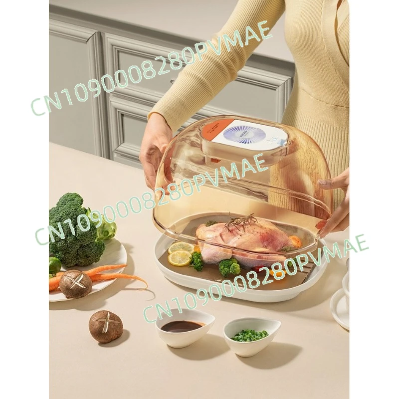 Kitchen Home Food Defrosting Plate Steak Quick Defroster Portable Defrosting Plate
Kitchen Home Food Defrosting Plate Steak Quick Defroster Portable Defrosting Plate