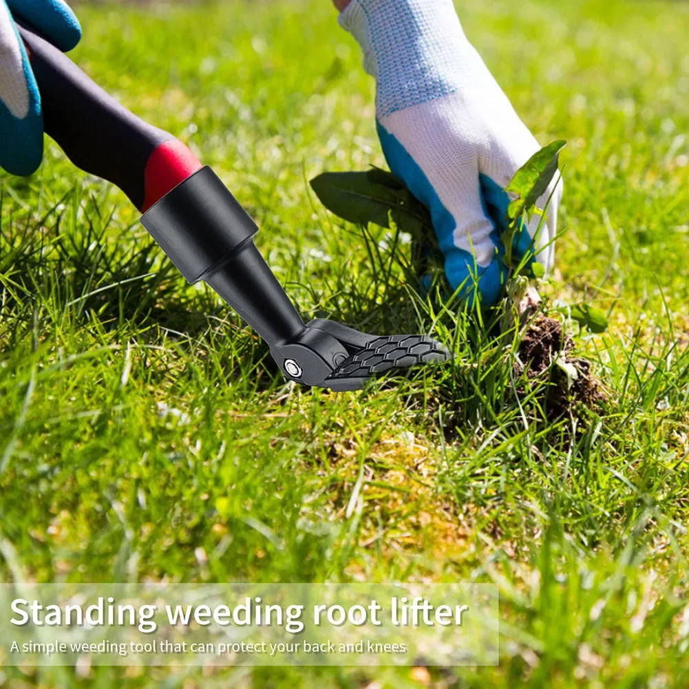 Pedal Weed Puller Weeding Claw Foot Head Stand Up Gardening Digging Weeder Lawn Grass Root Remover Grass Digging Weeder
Pedal Weed Puller Weeding Claw Foot Head Stand Up Gardening Digging Weeder Lawn Grass Root Remover Grass Digging Weeder
