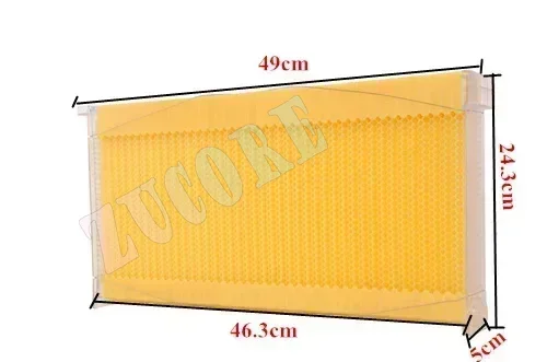 Самооточные рамы для улей, автоматические экстракционные коробки, пластиковые рамы для меда, селезенки, улья, улья
Самооточные рамы для улей, автоматические экстракционные коробки, пластиковые рамы для меда, селезенки, улья, улья