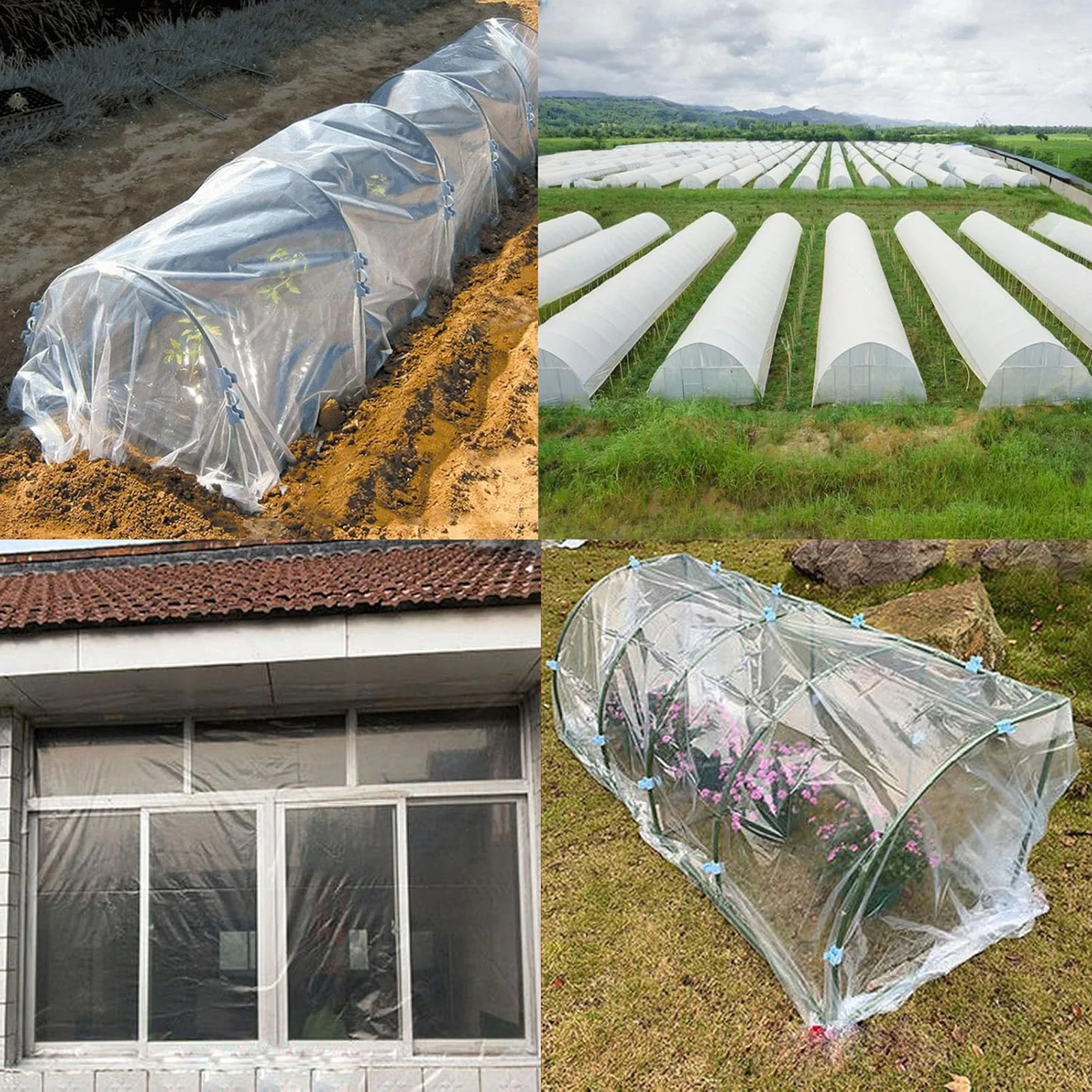 Crops Planting Mulch Greenhouse Film Inhibit the Formation of fog Design for Eggplant Strawberry Use
Crops Planting Mulch Greenhouse Film Inhibit the Formation of fog Design for Eggplant Strawberry Use