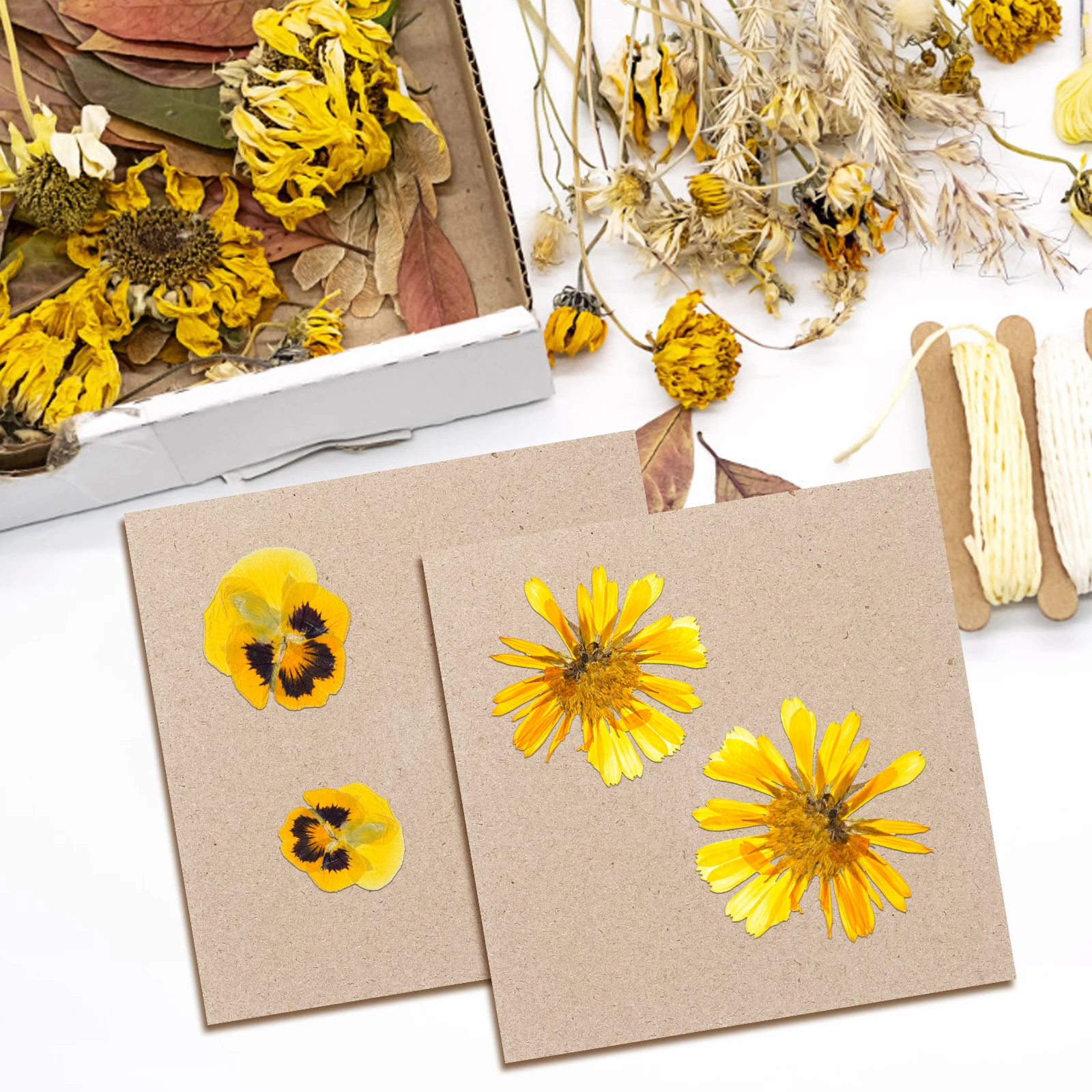 4Pcs Flower Press Boards Wooden Durable DIY Plant Press Tool for Scrapbooking Cards Wedding Decor Flower Pressing Plates
4Pcs Flower Press Boards Wooden Durable DIY Plant Press Tool for Scrapbooking Cards Wedding Decor Flower Pressing Plates