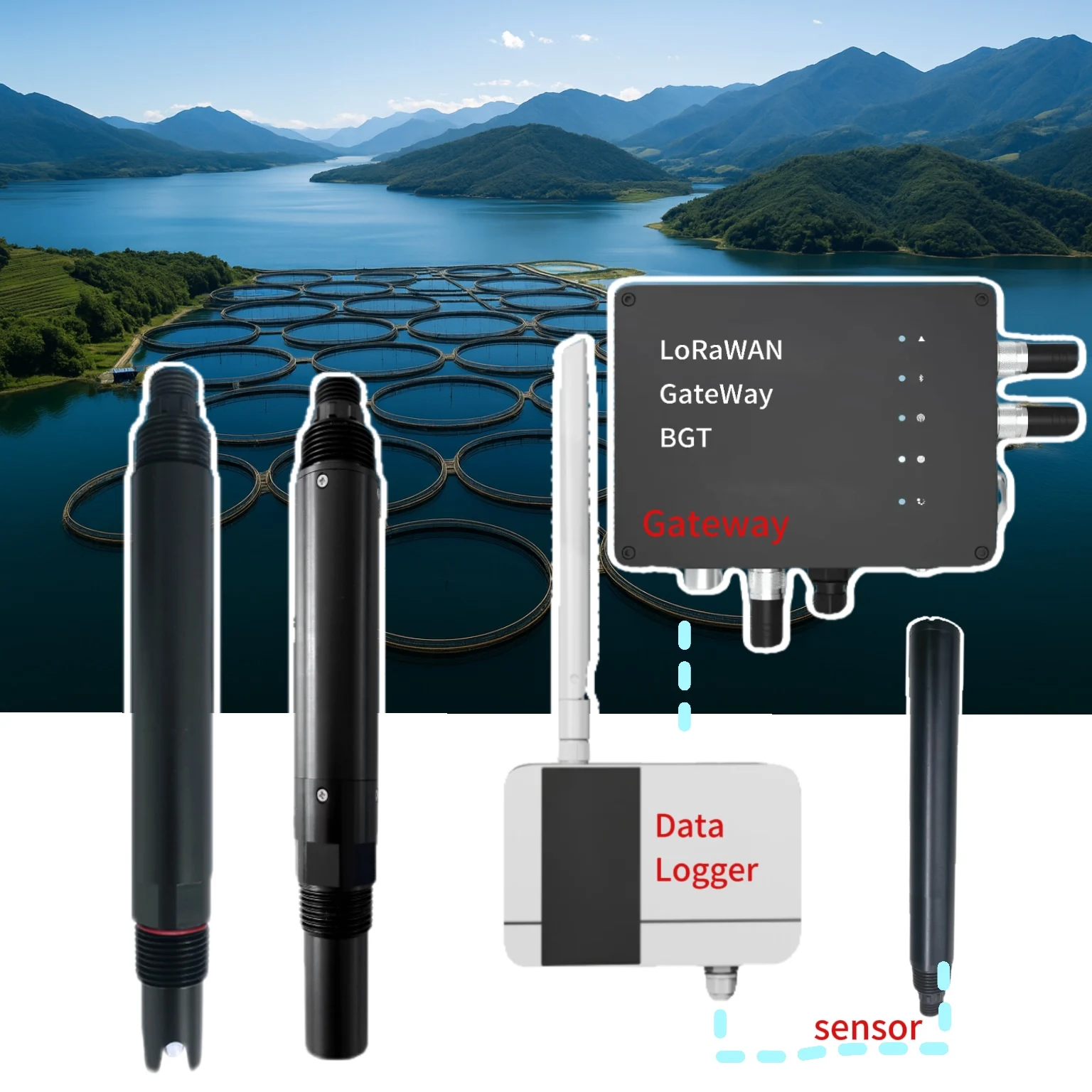 2026 Aquaculture Online Water Meter Temperature DO Turbidity EC Water Quality pH Sensor with LoRaWAN DataLogger Gateway
2026 Aquaculture Online Water Meter Temperature DO Turbidity EC Water Quality pH Sensor with LoRaWAN DataLogger Gateway
