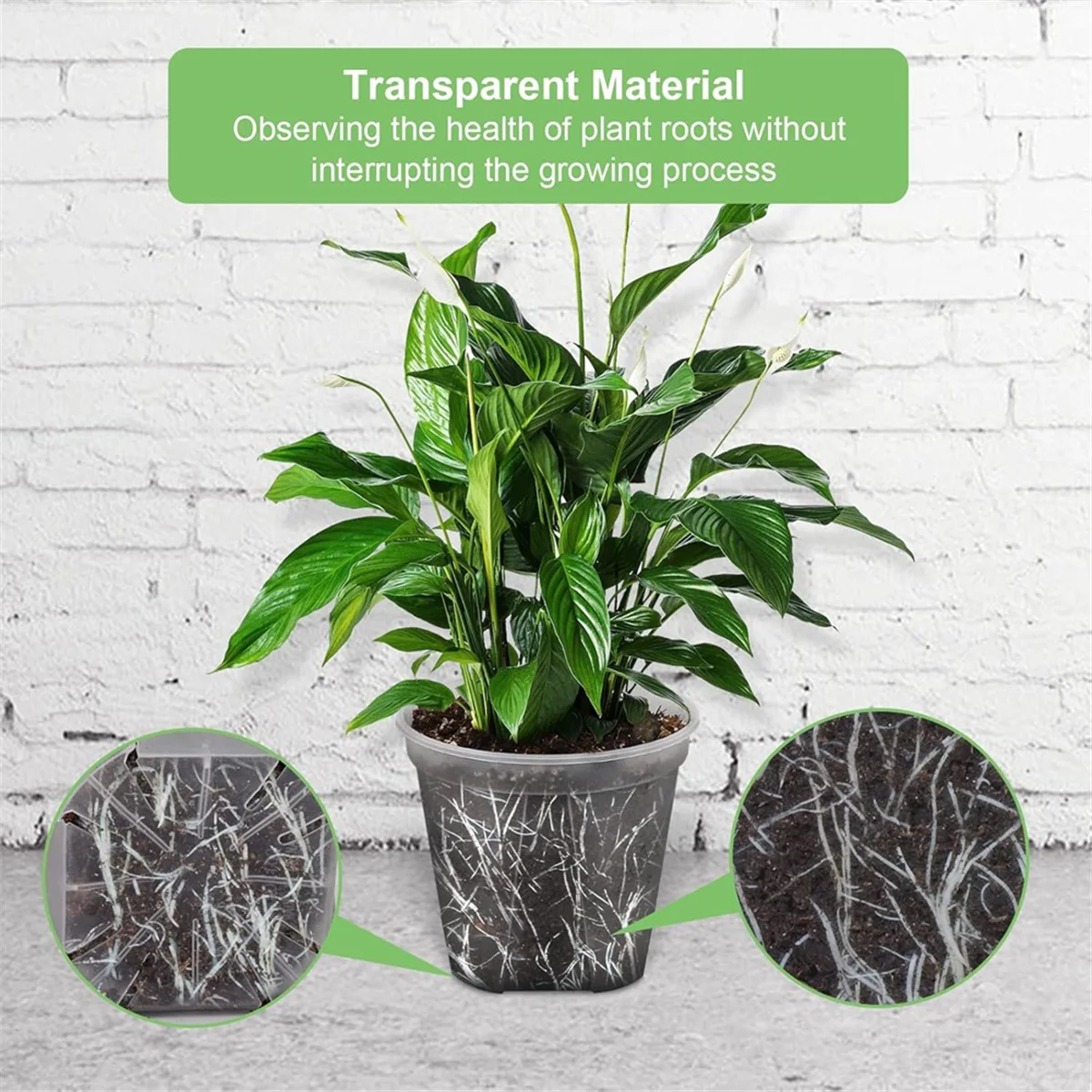 2025+ Clear Pots for Plants with Saucers,10 Pcs 4/5/5.5/6/7 Inch Thick Plastic Nursery Pots for Plants with Drainage Holes
2025+ Clear Pots for Plants with Saucers,10 Pcs 4/5/5.5/6/7 Inch Thick Plastic Nursery Pots for Plants with Drainage Holes