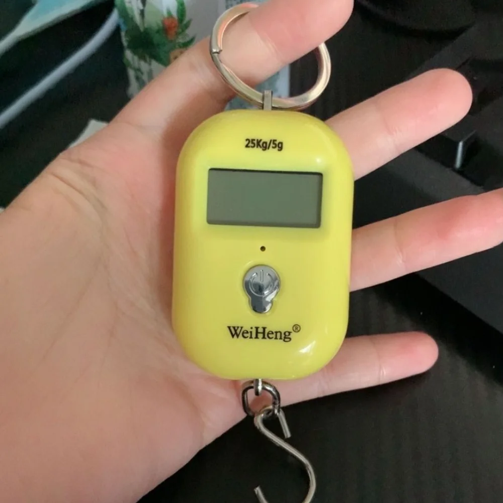 25Kg Capacity Digital Hanging Scale Portable Design 5g Precision Electronic Luggage Hook Scale Keychain Hook Backlight Display
25Kg Capacity Digital Hanging Scale Portable Design 5g Precision Electronic Luggage Hook Scale Keychain Hook Backlight Display