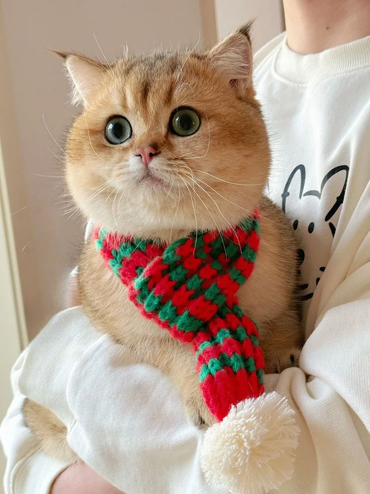 Y Autumn and Winter Pet Cute Knitting Wool Cat Small Scarf Christmas Photography Atmosphere
Y Autumn and Winter Pet Cute Knitting Wool Cat Small Scarf Christmas Photography Atmosphere