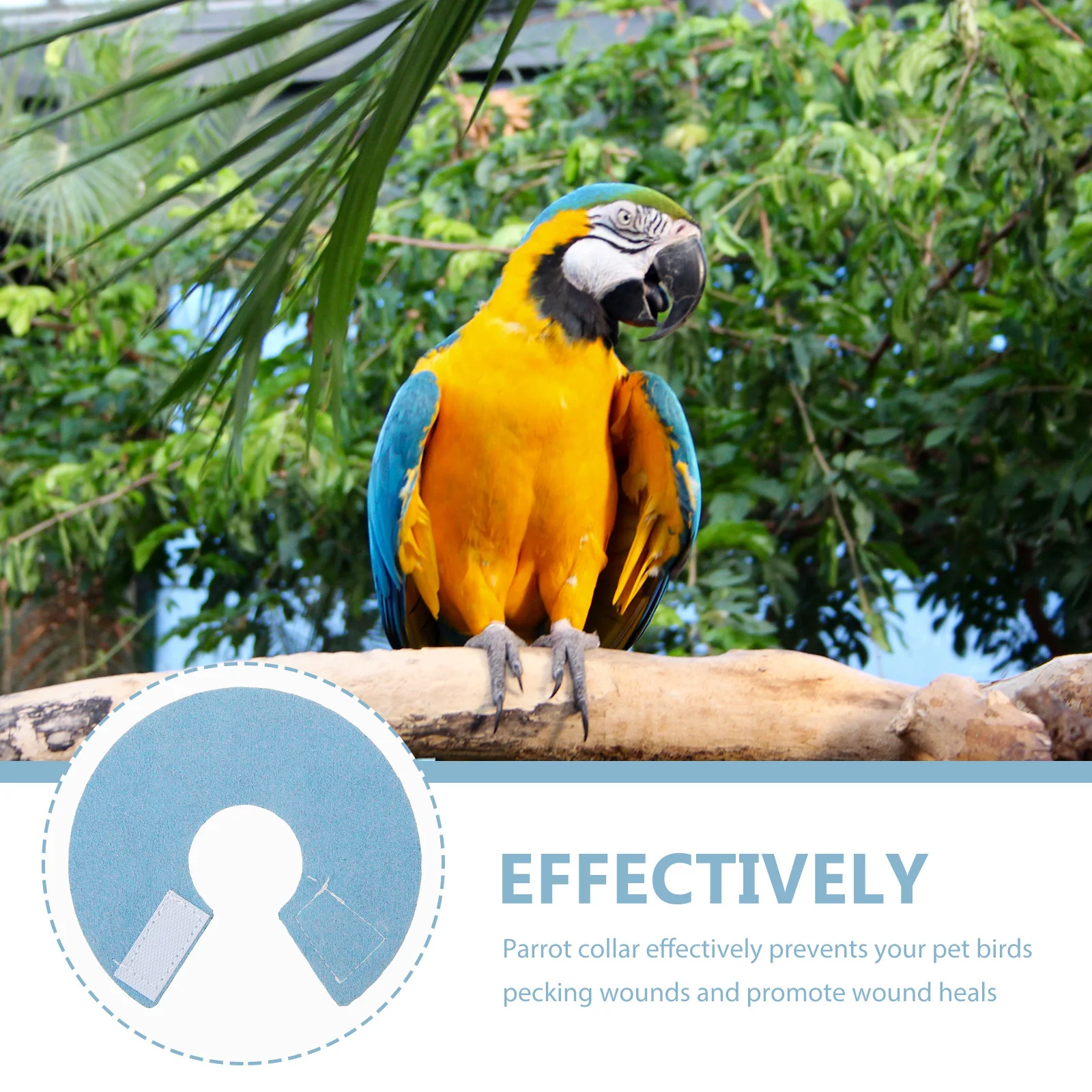 Bird Anti-Biting Collar Soft Microfiber Material Parrot Cone Collar Wound Protection Size Neck Protector
Bird Anti-Biting Collar Soft Microfiber Material Parrot Cone Collar Wound Protection Size Neck Protector