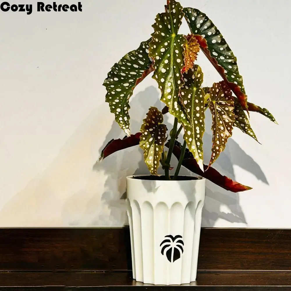 Creative Breathable Lazy Flower Pot Easy to Use Simple Self-watering Hydroponic Pot Plastic Plant Pot Garden
Creative Breathable Lazy Flower Pot Easy to Use Simple Self-watering Hydroponic Pot Plastic Plant Pot Garden