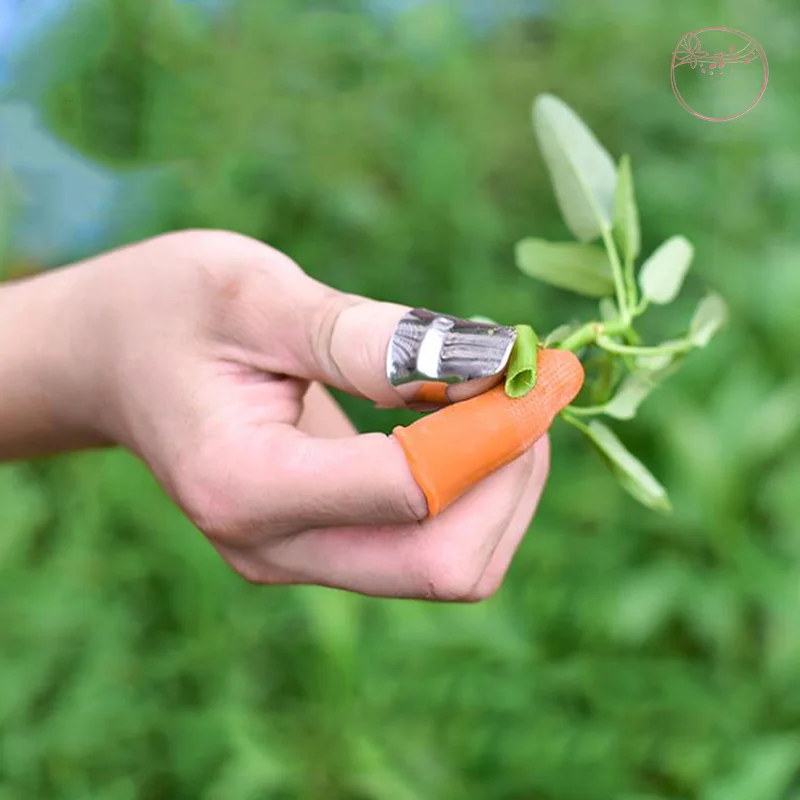 Портативный разделитель для обрезки крышек пальцев, резак для большого пальца овощей 
Портативный разделитель для обрезки крышек пальцев, резак для большого пальца овощей