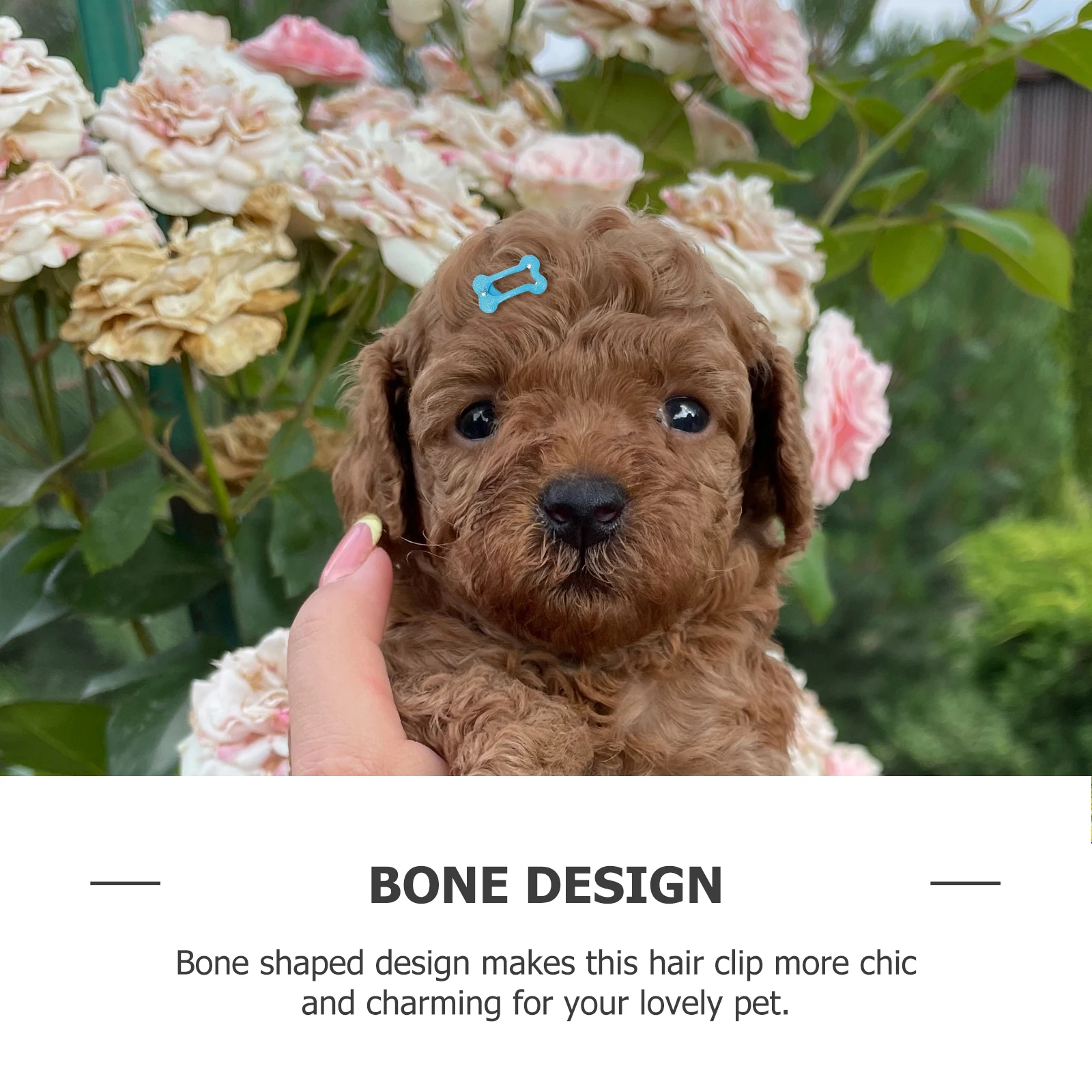 15pcs Hair Clips Bone Shaped Pet Accessories 2 5cm Durable Hairpins Mixed Dog Hair Clips Colors for Pets
15pcs Hair Clips Bone Shaped Pet Accessories 2 5cm Durable Hairpins Mixed Dog Hair Clips Colors for Pets