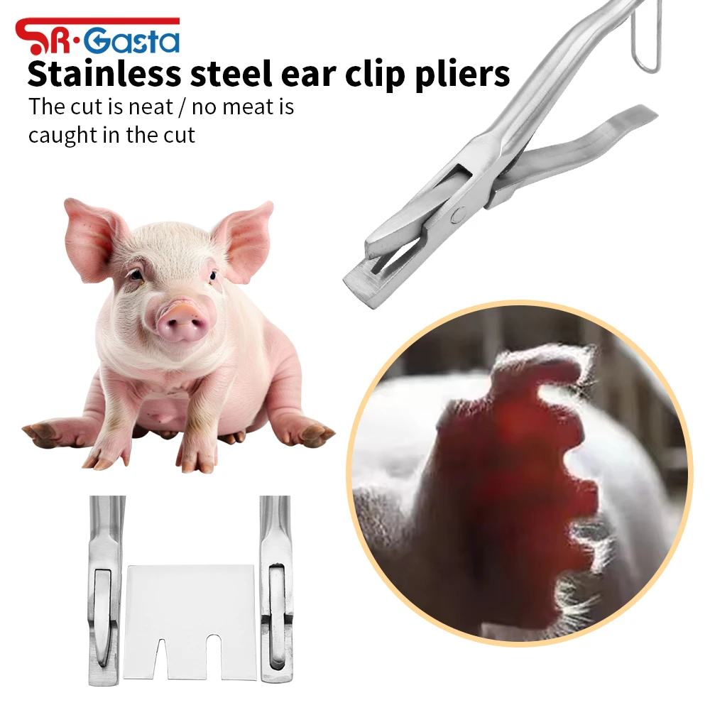 Щипцы для насекомых U-образной формы из нержавеющей стали для животных, дырокол для ушей свиньи, идентификация поросят, пирсинг, маркировка, щипцы
Щипцы для насекомых U-образной формы из нержавеющей стали для животных, дырокол для ушей свиньи, идентификация поросят, пирсинг, маркировка, щипцы