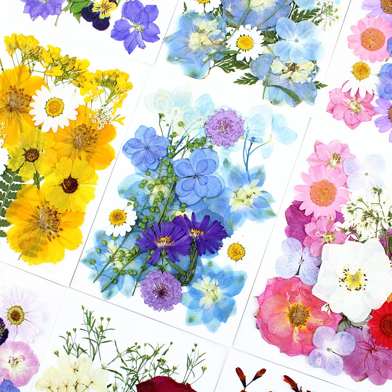 40-Piece Mixed Dried Flower and Leaf Combination Pack, Facial Decorations, Resin Painting Frame Dried Flower Materials Wholesale, Pressed Flower Package, Real Flower and Leaf Specimens
40-Piece Mixed Dried Flower and Leaf Combination Pack, Facial Decorations, Resin Painting Frame Dried Flower Materials Wholesale, Pressed Flower Package, Real Flower and Leaf Specimens