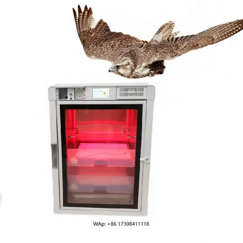 Australian Incubator Bird Brooder 90 Incubadora Automatic De Ovos Huevos 112 Codorna Senegal New Egg Incubator
Australian Incubator Bird Brooder 90 Incubadora Automatic De Ovos Huevos 112 Codorna Senegal New Egg Incubator