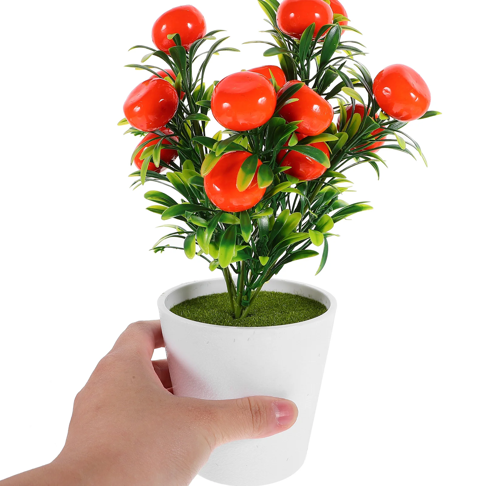 Faux Fruit Tree Artificial Plants Bundle Realistic Decor Home Office Desktop Adornments Fake Bonsai Plant
Faux Fruit Tree Artificial Plants Bundle Realistic Decor Home Office Desktop Adornments Fake Bonsai Plant
