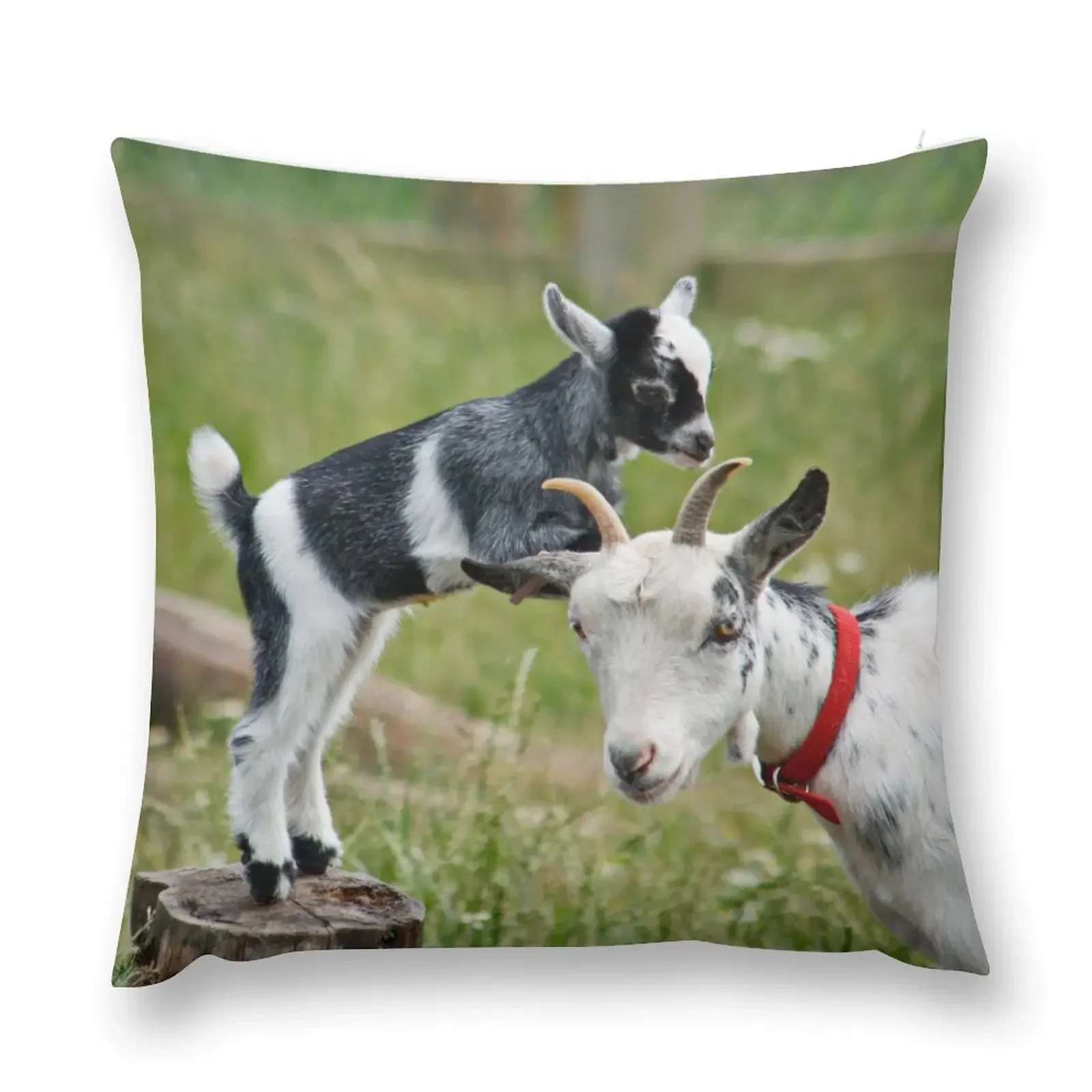 Can I have a Ride Mom !! Throw Pillow Cushion Cover For Sofa pillows decor home Christmas Pillow Covers pillow
Can I have a Ride Mom !! Throw Pillow Cushion Cover For Sofa pillows decor home Christmas Pillow Covers pillow