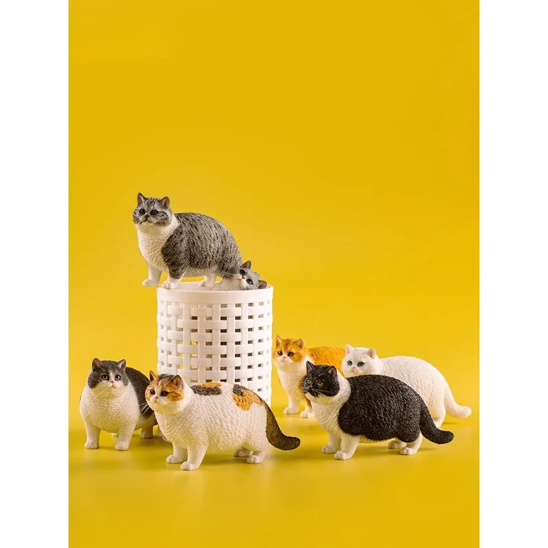 JXK 1/6 Scale Simulation Fat Cat Model Tabby Cat Ginger Kitten for 12'' Action Figures Desktop Ornament Accessories Gift
JXK 1/6 Scale Simulation Fat Cat Model Tabby Cat Ginger Kitten for 12'' Action Figures Desktop Ornament Accessories Gift